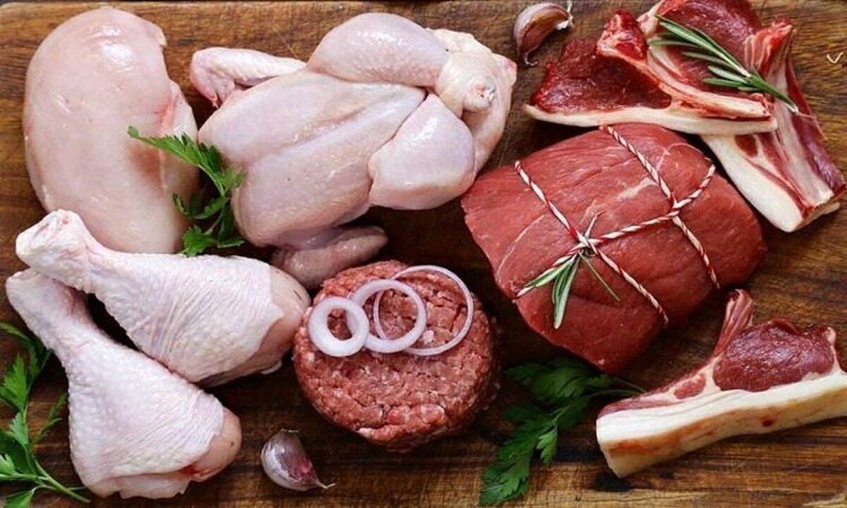 رییس سازمان جهاد کشاورزی استان البرز اعلام کرد: تامین ۴۰ درصدی گوشت گرم مرغ استان توسط تولید کنندگان البرزی برای سال آینده هدفگذاری شده است.