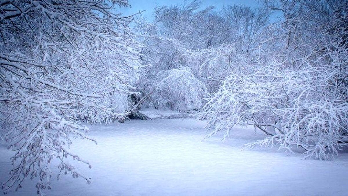 مدیر کل هواشناسی استان البرز گفت: ساوجبلاغ با ۱۷ میلی متر بیشترین میزان بارش برف در استان را به خود اختصاص داد.
