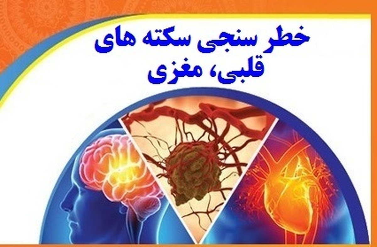 رئیس دانشگاه علوم پزشکی استان البرز گفت: افراد بالای ۳۰ سال برای خطرسنجی رایگان سکته مغزی و قلبی به پایگاه‌های سلامت مراجعه کنند.