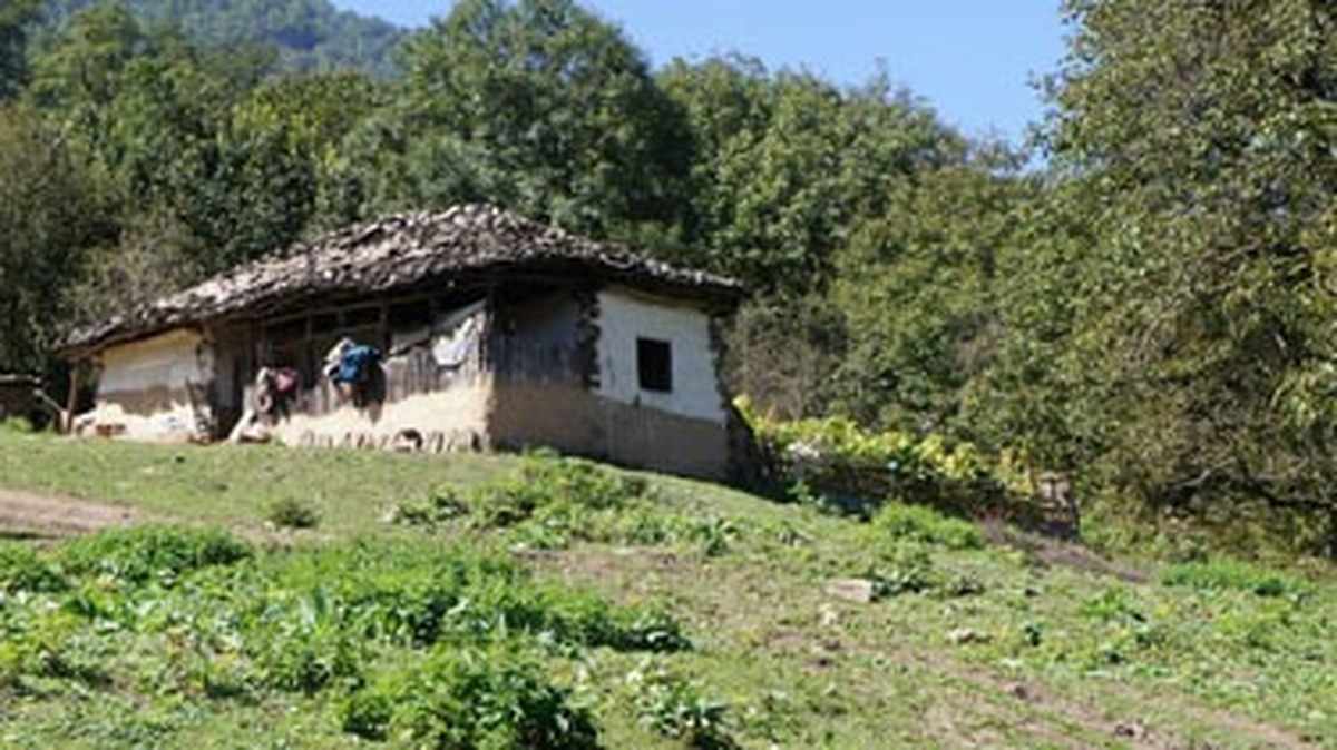 روستای کهنه ده یکی از جذاب‌ترین روستا‌های محور کرج به کندوان است، این روستا به دلیل همجواری با قله کلاش ویا و غار یخ مراد پذیرای کوهنوردان و گردشگران است، اما متاسفانه این روستا نیز به مانند سایر روستا‌های این محور مورد بی مهری و بی توجهی قرار گرفته است، شاید بی توجهی به روستای کهنه ده به دلیل وجود روستا‌های بزرگ‌تر و یا روستا‌هایی که فاصله کمتری با شهر دارند مضاعف باشد، با اینحال نمی‌توان زیبایی‌های این روستا را نادیده گرفت به همین دلیل با هادی خدا کرمی رئیس شورای کهنه ده گفتگو کردیم که در ادامه می‌آید.