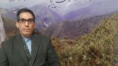 باید نظارت بیشتری در تولید مبلمان وجود داشته باشد