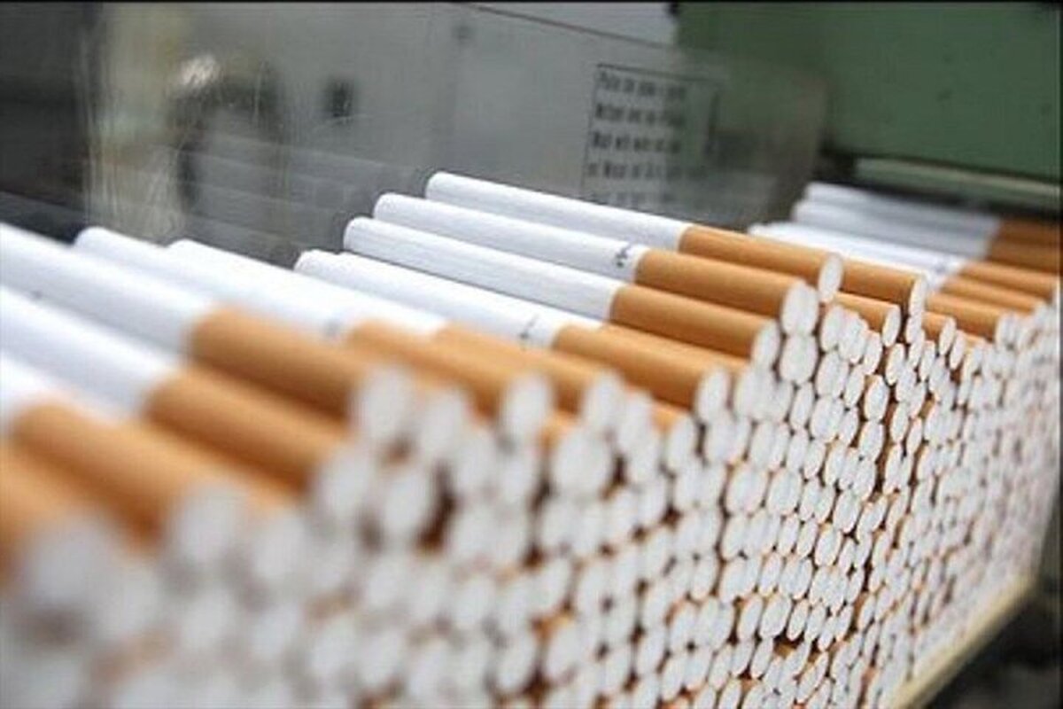 کرج- فرمانده انتظامی شهرستان کرج از کشف بیش از ۱۷ هزار نخ سیگار قاچاق در شهرک بنفشه خبر داد.