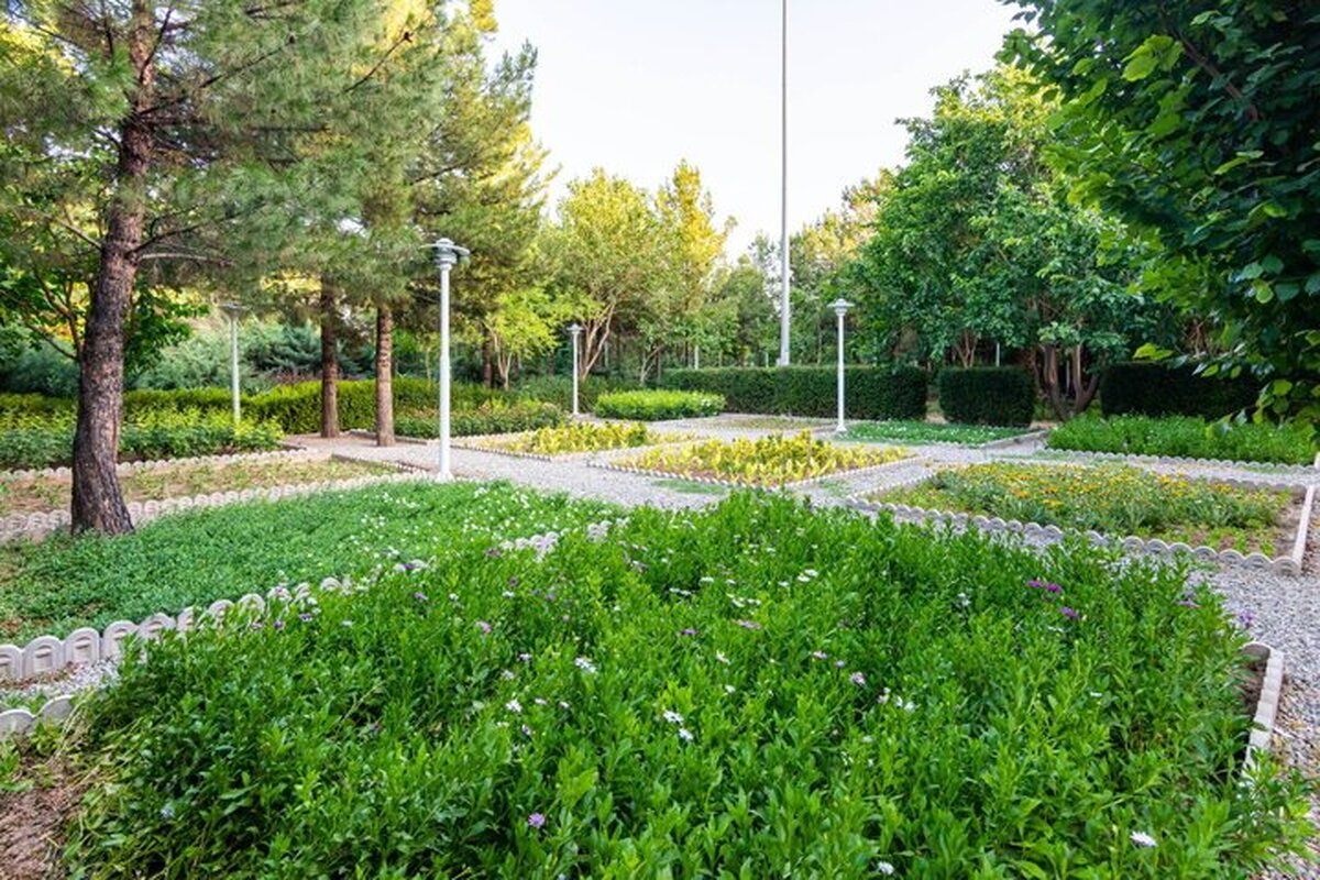 رییس کمیسیون سلامت، محیط زیست و خدمات شهری شورای شهر کرج گفت: تعهد سرانه فضای سبز در طرح تفصیلی جدید و برابر قانون هوای پاک توسعه می یابد.