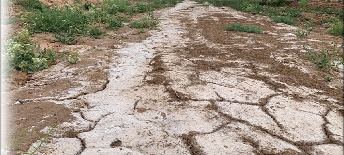 معاون آب و خاک وزیر جهاد کشاورزی گفت: مساحت اراضی شور کشور به ۱۰ میلیون هکتار افزایش یافته است. این شوری چه در بخش آب‌های زیرزمینی و چه در بخش خاک یک دغدغه و نگرانی است.