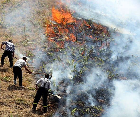 مهار آتش سوزی در منابع طبیعی جاده کرج - چالوس