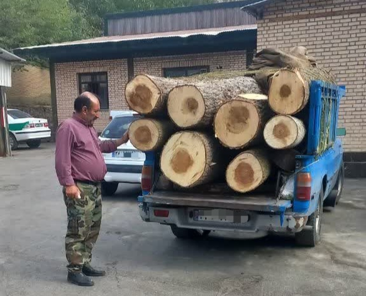 با اقدام مشترک و همکاری کلانتری ۳۵ نسا و نيروهاي یگان حفاظت منابع طبیعی شهرستان کرج یک و نیم تن صنوبر فاقد مجوز های قانونی در جاده چالوس کشف و توقیف شد .