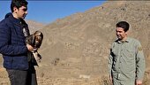 بازگشت ۶ پرنده شکاری به طبیعت توسط دوست داران محیط زیست البرز