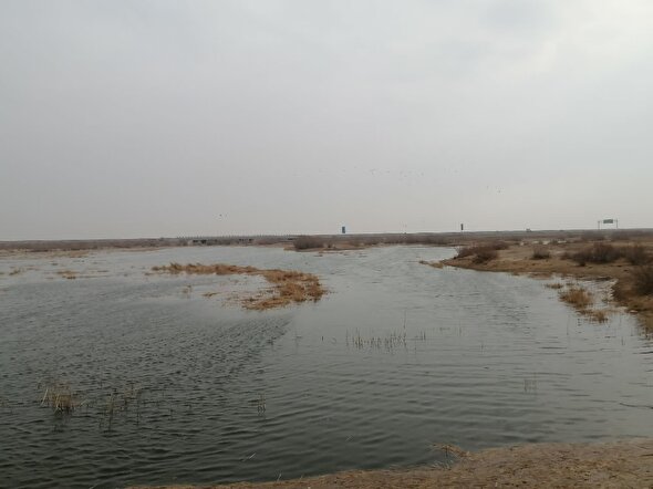 امید به احیای تنها تالاب استان زنده شد