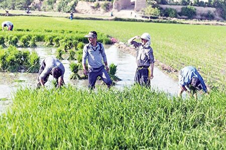 ببینید | با نرخ سود صفر درصد تامین مالی کنید
