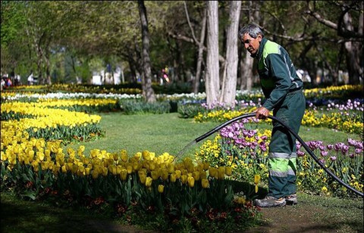 مدیر عامل شرکت آب و فاضلاب استان البرز از اهتمام ویژه جهت جداسازی آب شرب از فرایند آبیاری فضای سبز شهری خبر داد.