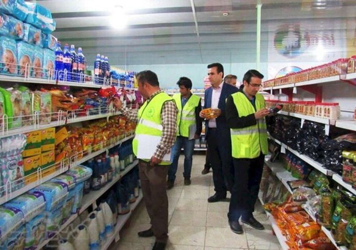 مدیرکل تعزیرات حکومتی البرز اعلام کرد: طرح نظارت بر تامین ، توزیع و قیمت کالاها و خدمات در مناطق مختلف این استان تشدید شد.
