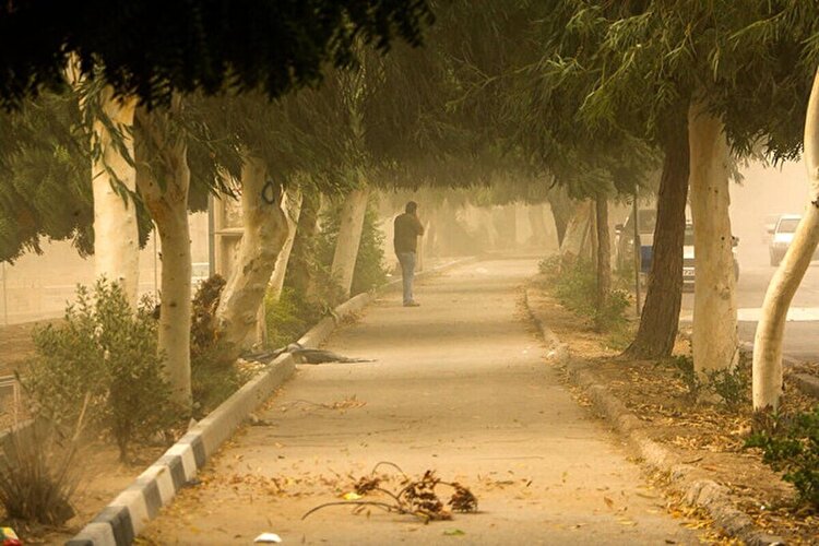 اوج آلودگی هوا در البرز از عصر تا نیمه شب است