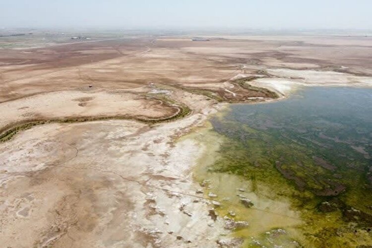 تأکید مدیرکل حفاظت محیط زیست البرز بر اهمیت احیای پایدار تالاب صالحیه با سه محور کلیدی