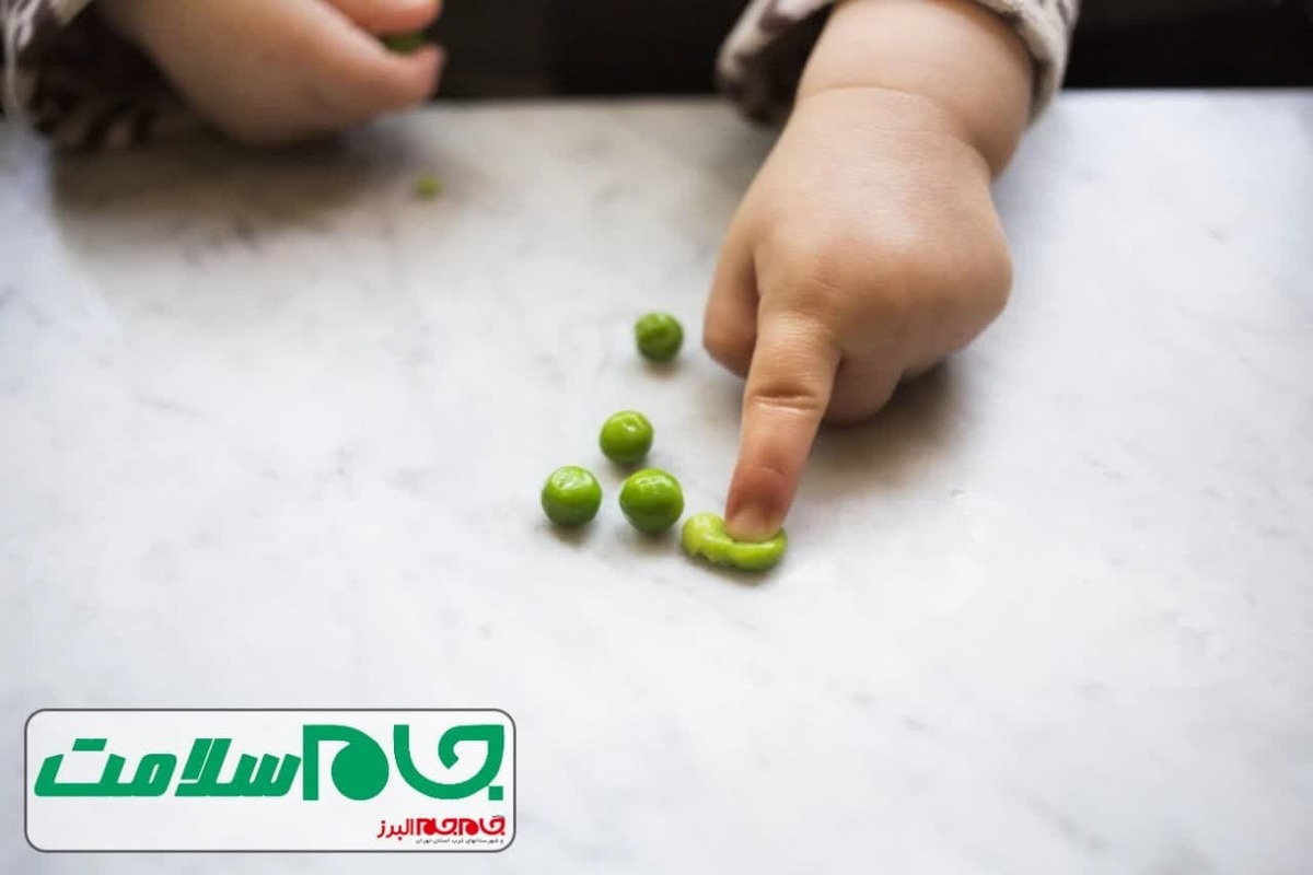 نخود فرنگی سبزیجاتی مغذی و محبوب است که نقش مهمی در رشد و سلامت کودکان ایفا می‌کند. این سبزی سرشار از ویتامین‌ها، مواد معدنی و فیبر است و می‌تواند سیستم ایمنی بدن را تقویت، رشد استخوان‌ها و عضلات را حمایت و سلامت دستگاه گوارش را حفظ کند. همچنین وجود آهن در آن به پیشگیری از کم‌خونی کمک می‌کند، و به دلیل کم‌چرب بودن و فیبر فراوان، در کنترل وزن و سلامت قلب موثر است. مصرف منظم نخود فرنگی برای کودکان بسیار مفید است.