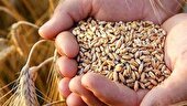 طرح ملی شناسه بارکددار پایان جعل و تقلب در تامین بذر و نهال