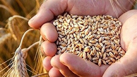 طرح ملی شناسه بارکددار پایان جعل و تقلب در تامین بذر و نهال