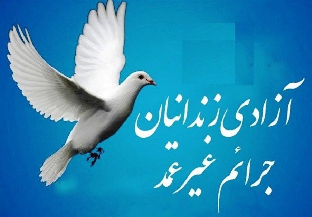 مدیر ستاد دیه البرز از آزادی ۲۰۶ زندانی با جرائم غیرعمد و مالی از ابتدای سال جاری تاکنون دراین استان خبرداد و گفت : این تعداد نسبت به مدت مشابه سال قبل ۳۷ درصد افزایش یافته است.