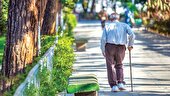 ۱۷۵ هزار سالمند البرزی آموزش‌های بهبود زندگی دریافت کردند
