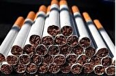 ضبط سیگار قاچاق در کرج