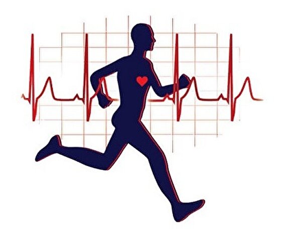 کم تحرکی و بی تحرکی چالش اصلی سلامت