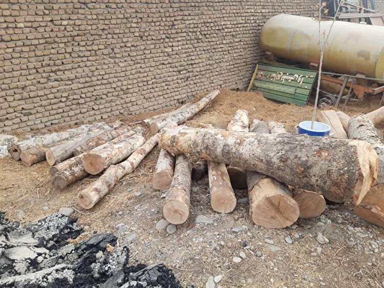 کشف محموله قاچاق چوب در کرج