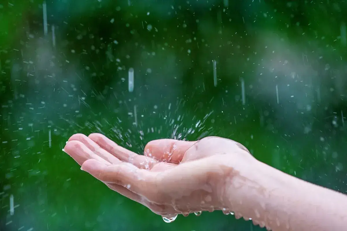 به قلم:محمدحسین روحی یزدی