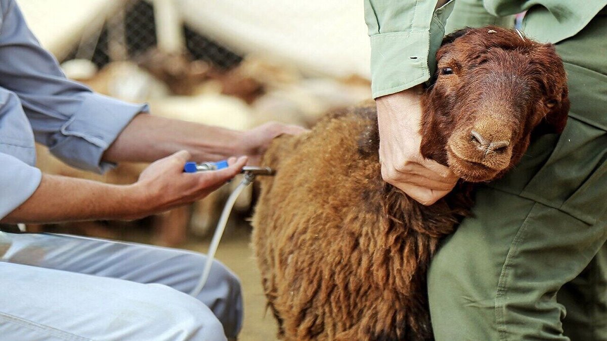 به قلم: علی ارجمند عین الدین، مدرس حوزه و دانشگاه