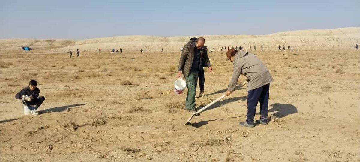 سرپرست معاونت فنی اداره کل منابع طبیعی البرز اعلام کرد که کاشت مشارکتی ۵ هزار اصله نهال گیاه بومی و مقاوم لگجی (Capparis spinosa) با حضور ۳۵۰ نفر از اعضای انجمن کنگره ۶۰ در مرتع حسین‌خانلو شهرستان اشتهارد انجام شد. این برنامه در راستای بهره‌گیری از گونه‌های سازگار با اقلیم بیابانی و توسعه عملیات بیابان‌زدایی در استان اجرا شده است.