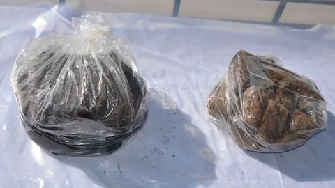 کشف بیش از ۱ کیلوگرم تریاک در نظرآباد