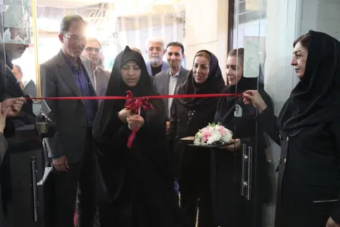راه‌اندازی اولین مرکز منسجم ساماندهی مشاغل خانگی کشور