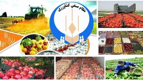 تشکیل اتاق اصناف کشاورزی استان در طالقان به عنوان اولین شهرستان پیشرو در البرز