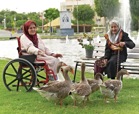حمایت یک میلیارد ریالی از کهریزک البرز