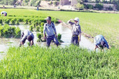 ببینید | با نرخ سود صفر درصد تامین مالی کنید