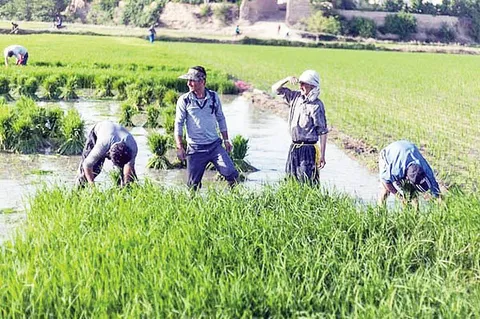 ببینید | با نرخ سود صفر درصد تامین مالی کنید