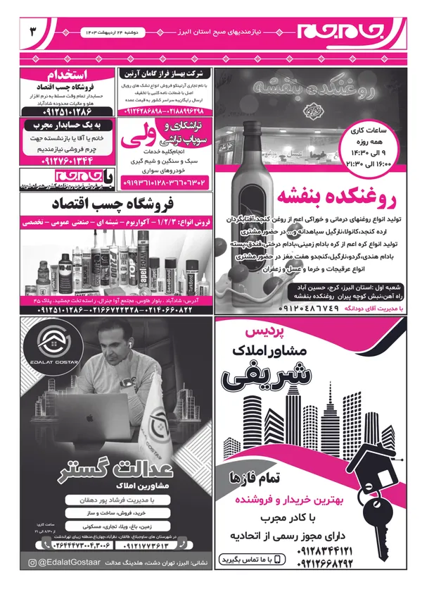 صفحه سوم