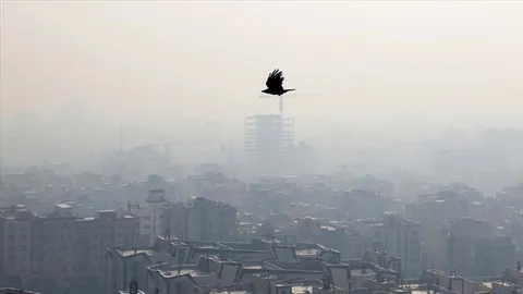 توصیه های بهداشتی در زمان آلودگی هوا را جدی بگیریم