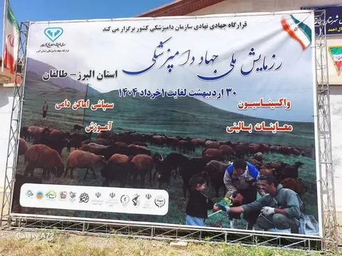 واکسیناسیون ۸۰ هزار راس دام با اهتمام جهادگران بسیجی  البرز