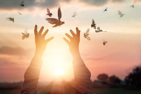 ۱۹ زندانی ندامتگاه فردیس به آغوش خانواده بازگشتند